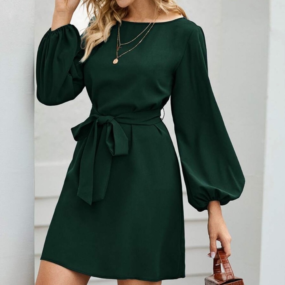 Blue long lantern sleeve  belted dress - Picture 2 of 16